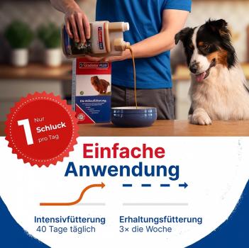 Preview: GladiatorPLUS Hund - die Milieufütterung